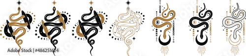 magic celestial snake with crescent moon,star and moon phases. Mystical witchy symbol. Cosmic serpent and celestial bodies. Boho style print logo tattoo designs