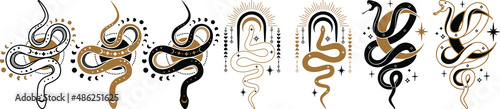 Fotografie, Obraz magic celestial snake with crescent moon,star and moon phases