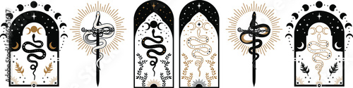 Fotografia, Obraz Magic celestial snake with crescent moon,star and moon phases