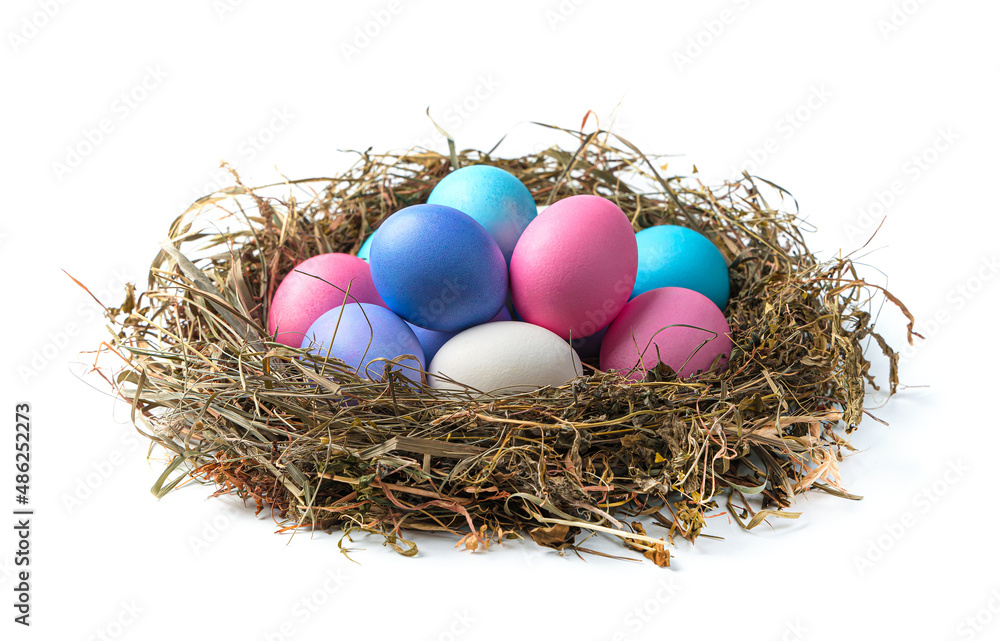 Easter eggs in a nest isolated on a white background. Easter eggs in a nest isolated on a white background.