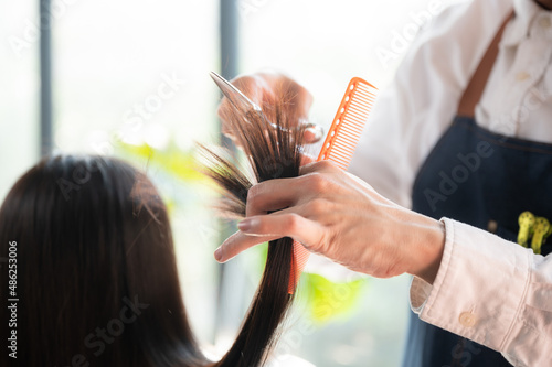 hairdresser and beautiful client woman making treatment hair health care in fashion style salon