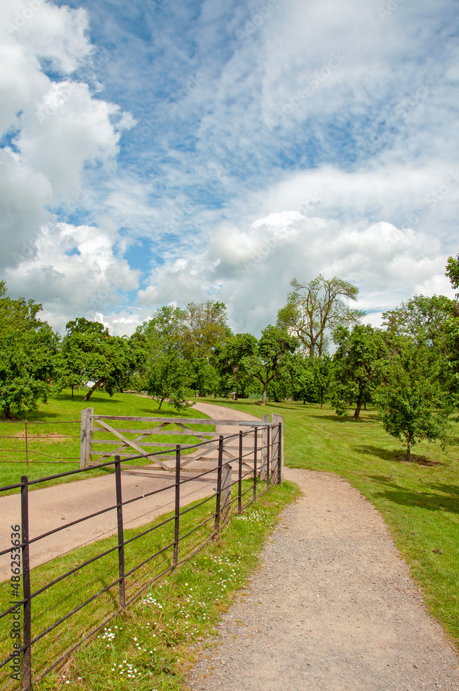 Path in the park