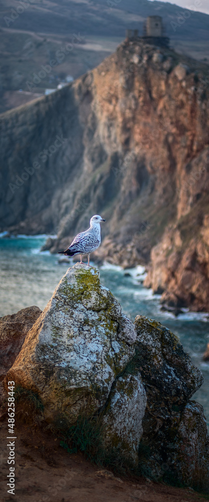 Landscape, sea, mountains, and a bird sitting on a rock.