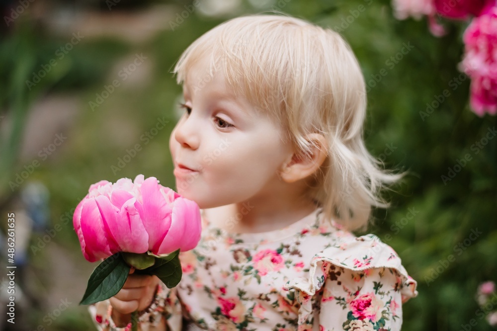 Happy little girl smelling fragrant pink peonies. Happy little girl smelling fragrant pink peonies.
