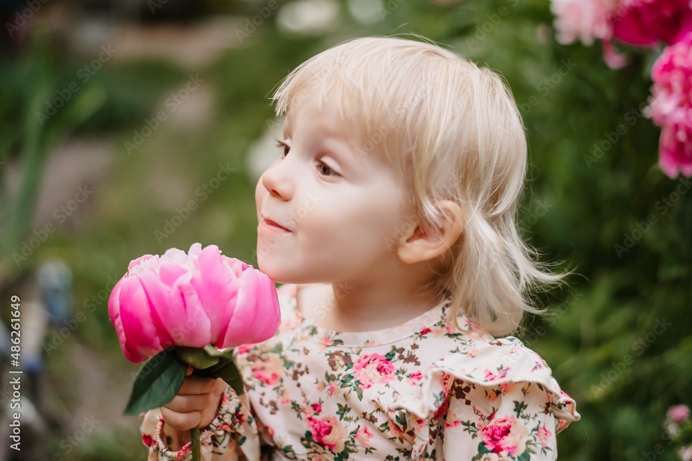 Happy little girl smelling fragrant pink peonies. Happy little girl smelling fragrant pink peonies.