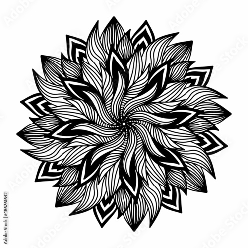 Floral, hand drawn aster mandala flowers in doodle style isolated on white background. Funny and cute coloring for seasonal design, textile, decoration kids playroom or greeting card. Chrysanthemum.