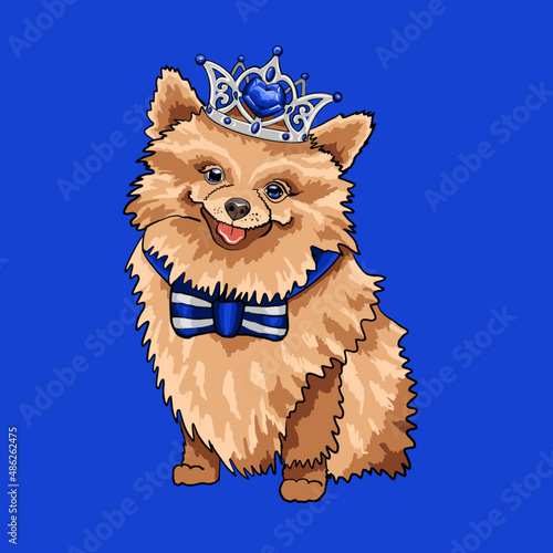 Vector illustration Dog king on blue backgrounders children cartoon