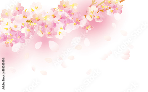 桜の舞う 背景イラスト素材