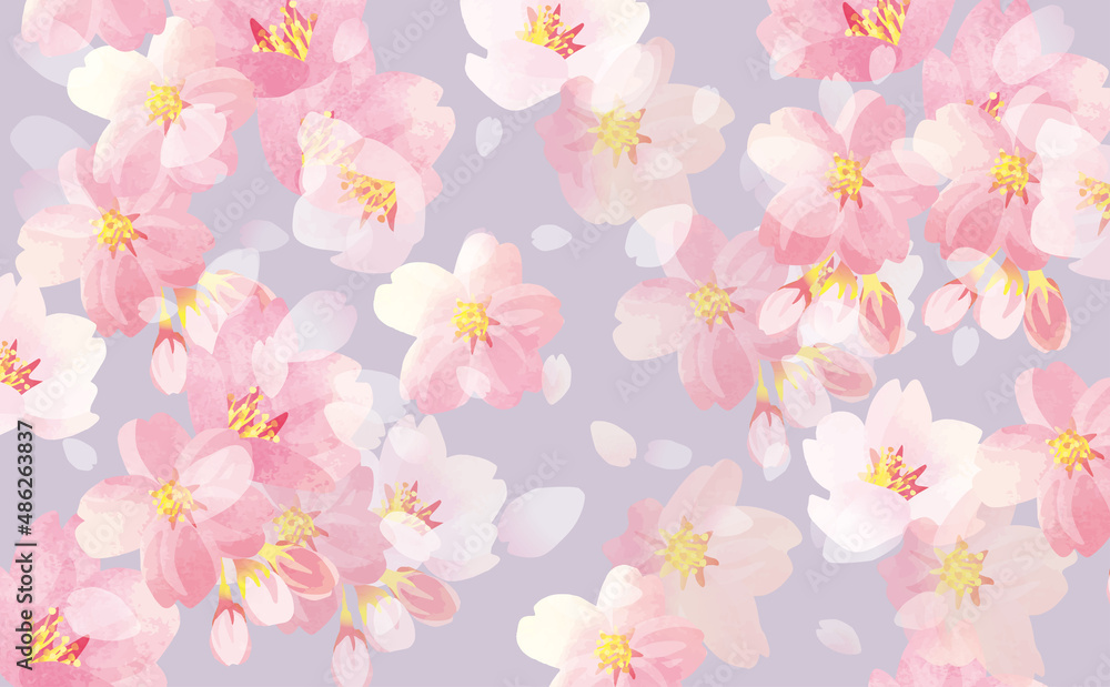 Fototapeta premium 桜の舞う 背景イラスト素材