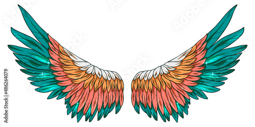 Beautiful green orange wings, color vector illustration