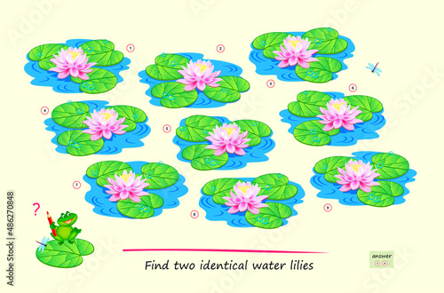 Logic puzzle game for children and adults. Find two identical water lilies. Page for kids brain teaser book. Memory exercises. Task for attentiveness. IQ test. Play online. Vector illustration.