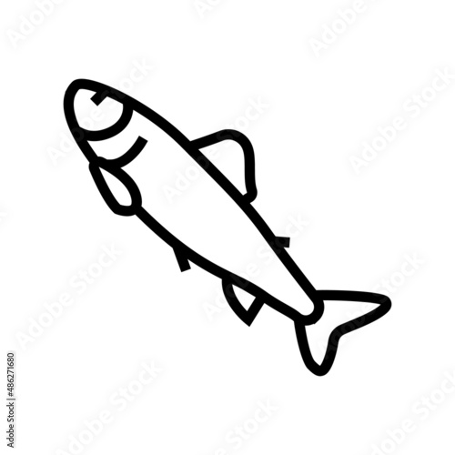 parr salmon line icon vector. parr salmon sign. isolated contour symbol black illustration