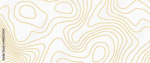 Golden embossed topography pattern. Vector illustration of heights map topographic backdrop, Abstract background with curled linear rainbow pattern.