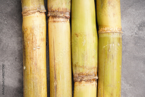 Sugarcane close-up on gray background. Flat lay