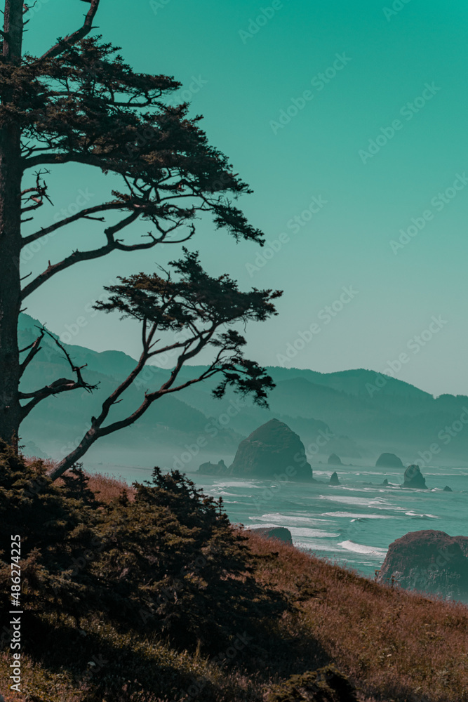 Obraz premium creative