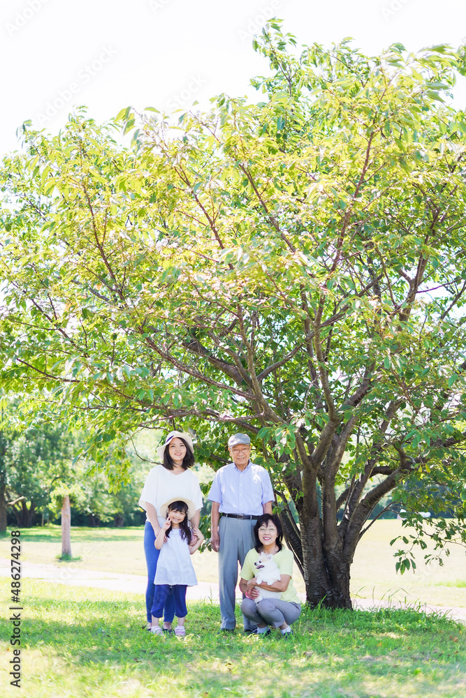 Obraz premium 外で遊ぶ幸せな家族