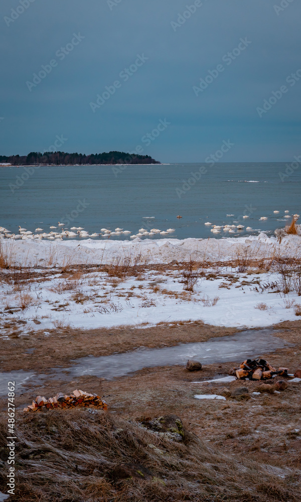 Vertical view of the Baltic Sea in winter at sunrise near Toolse, Estonia