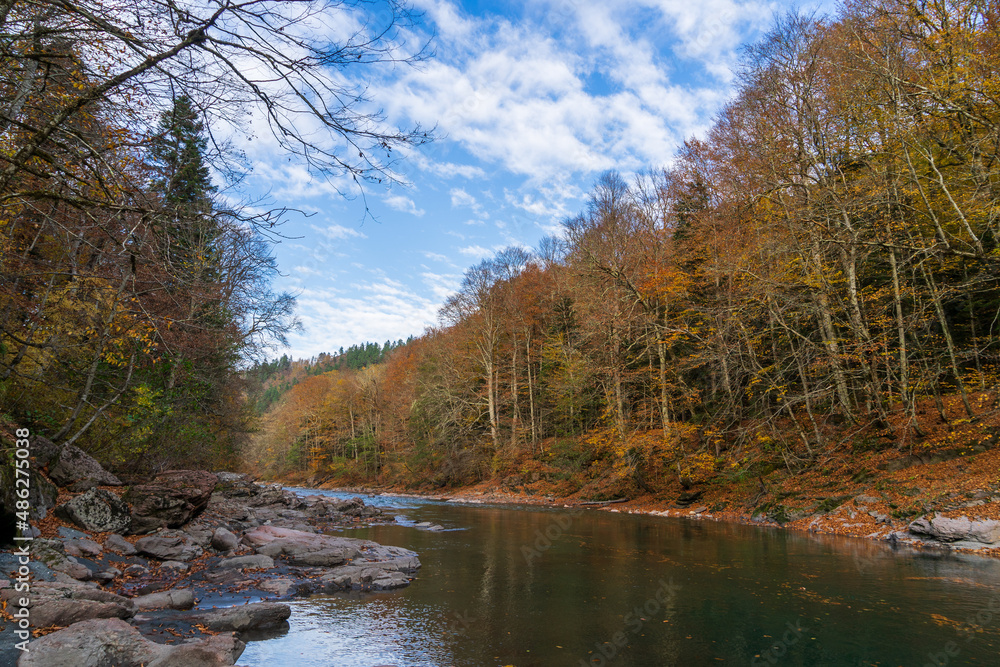 Clean mountain river in the autumn forest.