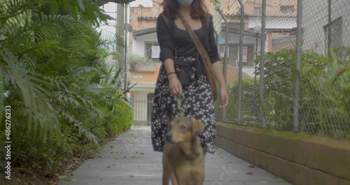 Young Dark Hair Woman Walks A Dog Stock in Beautiful Green Medellin Neiborhood photo