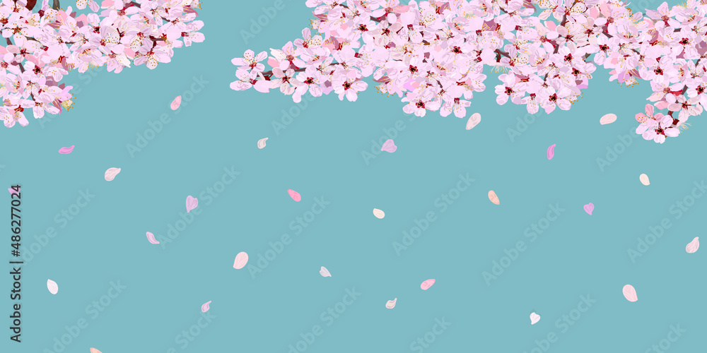 Cherry blossoms and scattered petals. Spring landscape. copy space, vector illustration, website, banner, header, sign, poster, flyer, graphic, pink, blue, greeting card,