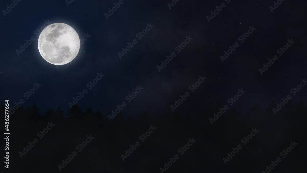 Dark Night Sky With Full Moon And Stars Above Forest Silhouette. Dark Night Sky With Full Moon And Stars Above Forest Silhouette.