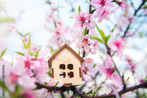 Miniature house on flowering branch close-up and copy space. Wooden house and flowers as postcard for holiday. Beginning of spring..