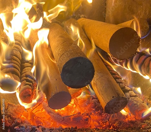 Burning firewood. beautiful fire