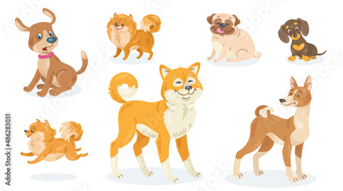 Collection of seven funny dogs of different breeds, poses and emotions. In cartoon style. Isolated on white background. Vector flat illustration.