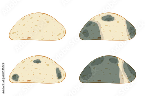 The mold on the bread, set isolated on white background