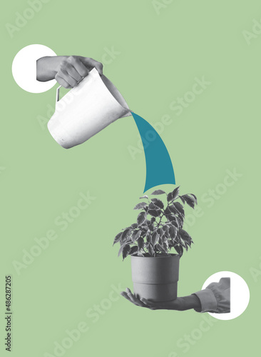 Contemporary art collage of human hands pour out water on ficus plant with watering can.