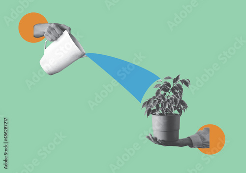 lamp