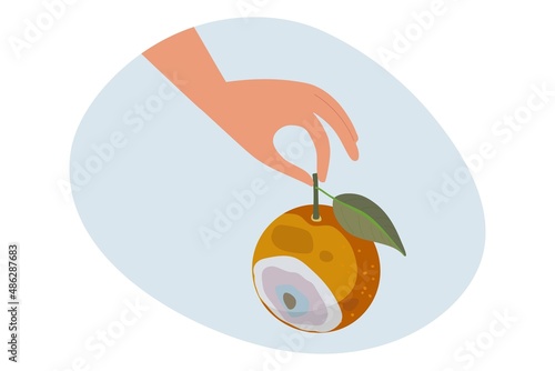 Organic waste template. Human hand holding Bad rotten Orange fruit isolated on white. Citrus fruit becomes spoiled. Food waste. Rotten Orange with Stinky Rot. Bad smell from mold on Citrus