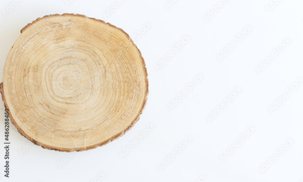 Smooth cross section brown tree stump slice with age rings cut fresh from the forest. Isolated on a white background. Smooth cross section brown tree stump slice with age rings cut fresh from the forest. Isolated on a white background.
