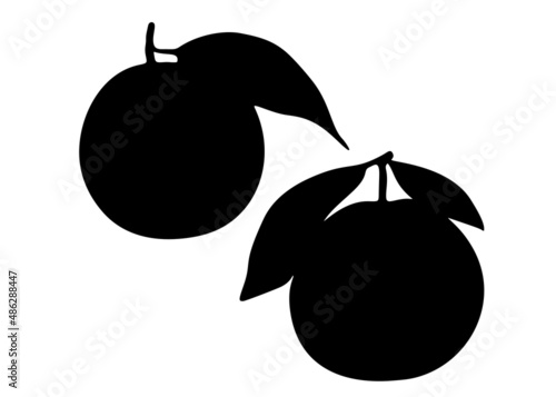 Set of tangerines. Vector image.