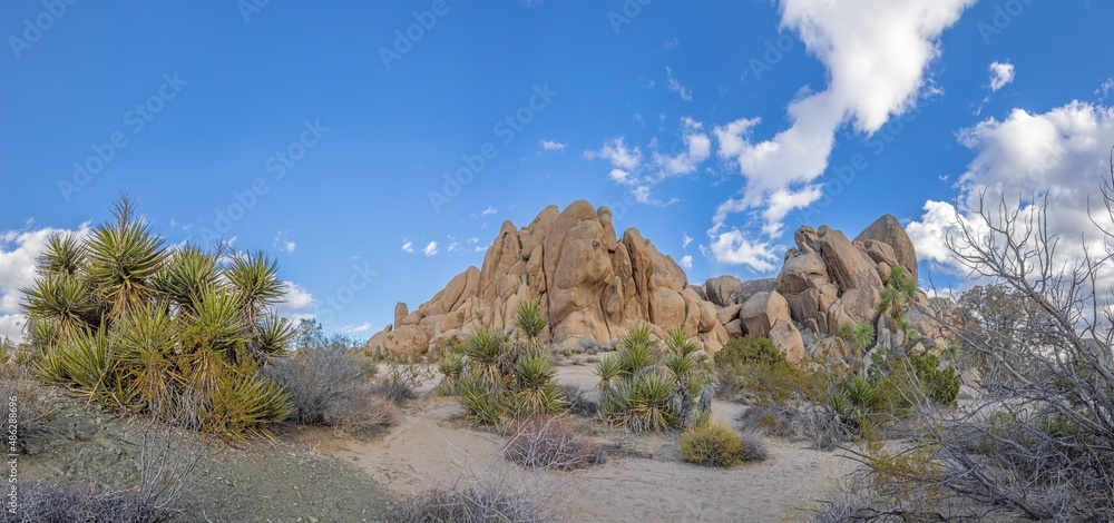 Joshua, nature, national park, california, rock, tree, park, us, beauty, countryside, blue, hill, joshua, natural, north america, stone, mojave, sky, geologic, heaven, landscape, vale, mountain, wilde Joshua, nature, national park, california, rock, tree, park, us, beauty, countryside, blue, hill, joshua, natural, north america, stone, mojave, sky, geologic, heaven, landscape, vale, mountain, wilde