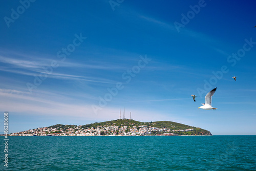 A seagull flies over the sea past the island. Island with houses in the sea, Blue sea and blue sky. The Sea of Marmara, Burgazada, Prince Islands, Istanbul, Turkey photo