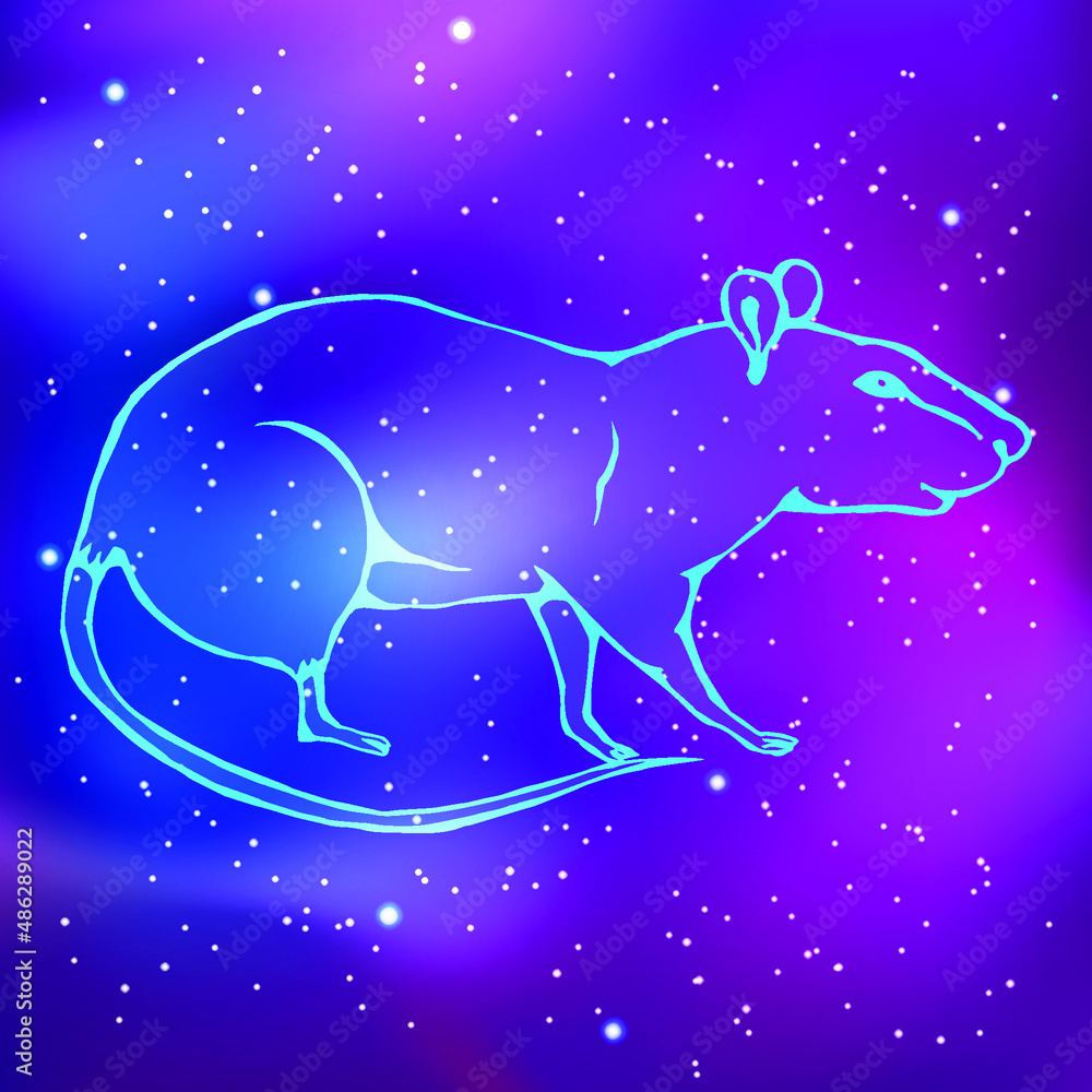 Silhouette of a rat against the background of the starry sky. Chinese horoscope, zodiac. Vector illustration