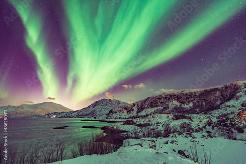 Aurora in Norway  chased on the islands around Troms      the city in arctic pole