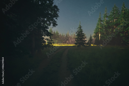 Dirt road in woodland with firs at sunrise. 3D render.