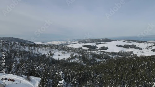 Aerial View of Idyllic Winter Landscape of Zlatibor Mountain, Pine Forest, Snow Capped Hills Under Tornik Peak, Serbia, Pedestal Drone Shot photo