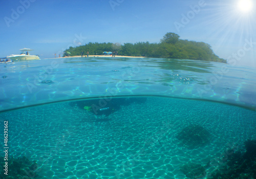 underwater scene , paradise island , caribbean sea , venezuela © gustavo