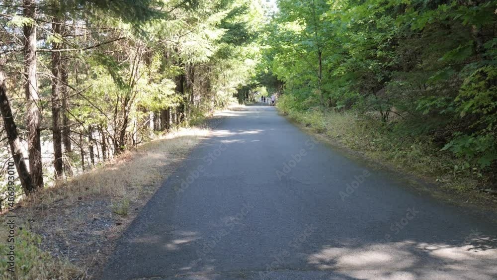 walking path along Columbia river in Oregon, people in distance, the road in the middle of the forest walking path along Columbia river in Oregon, people in distance, the road in the middle of the forest