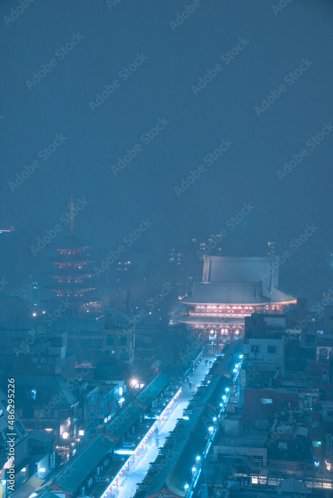 Obraz premium 雪に霞む浅草寺