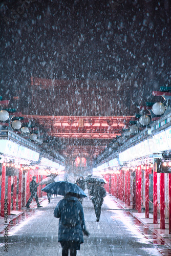 雪の日の仲見世