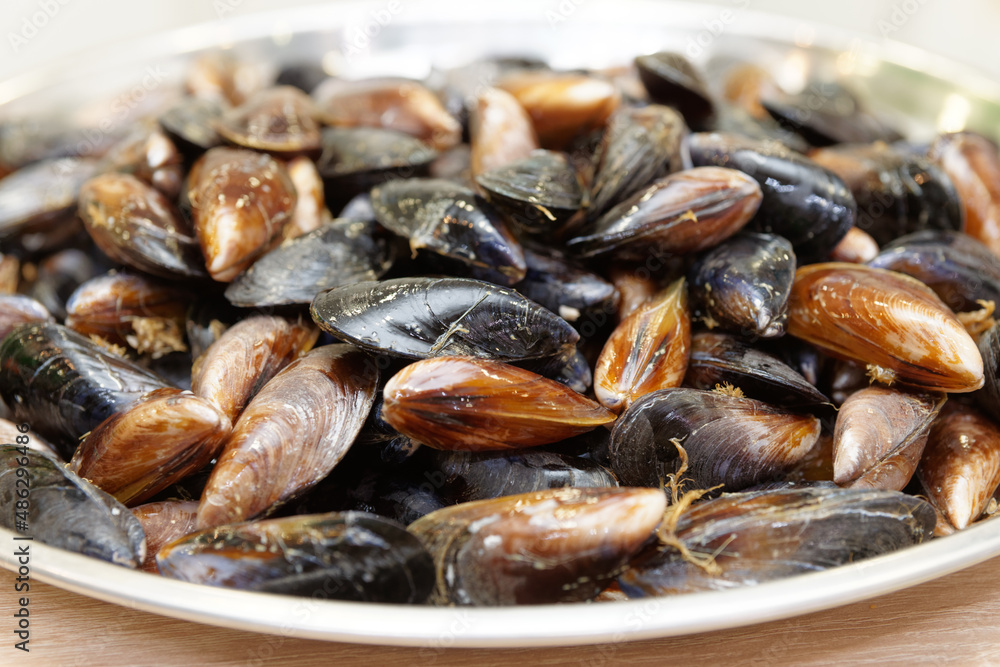 Raw uncooked mussels Raw uncooked mussels