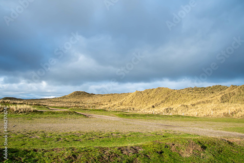 Dünen Landschaft in der Sonne am Lister Ellenbogen Insel Sylt
