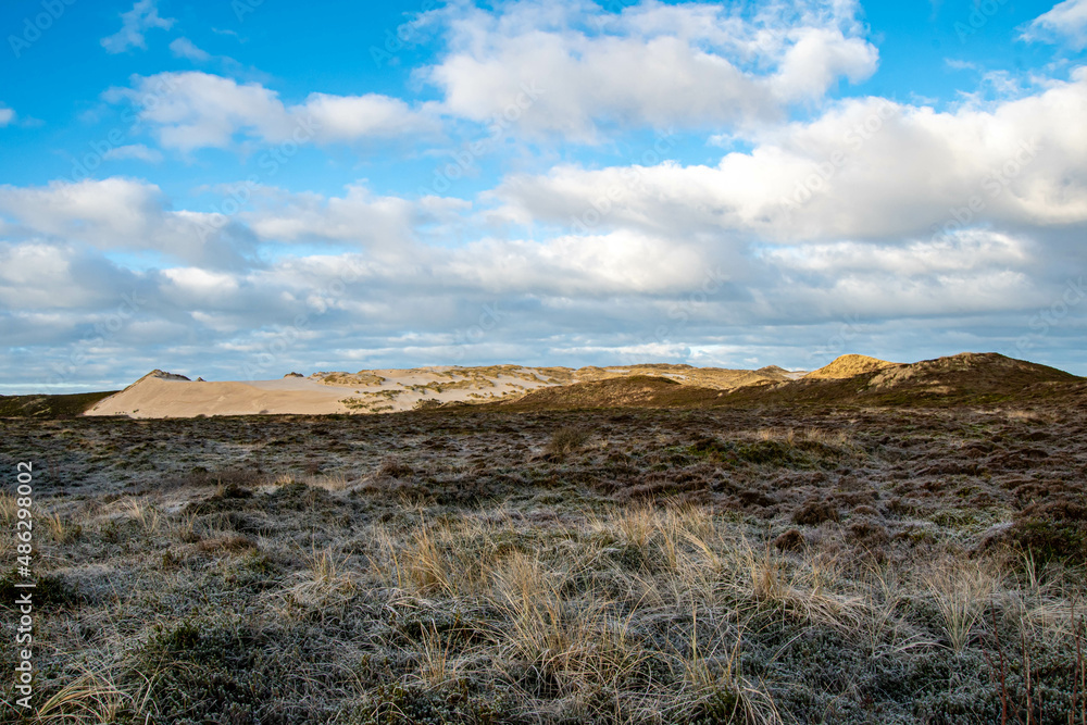 Wanderdüne in der Nähe von List Insel Sylt Wanderdüne in der Nähe von List Insel Sylt