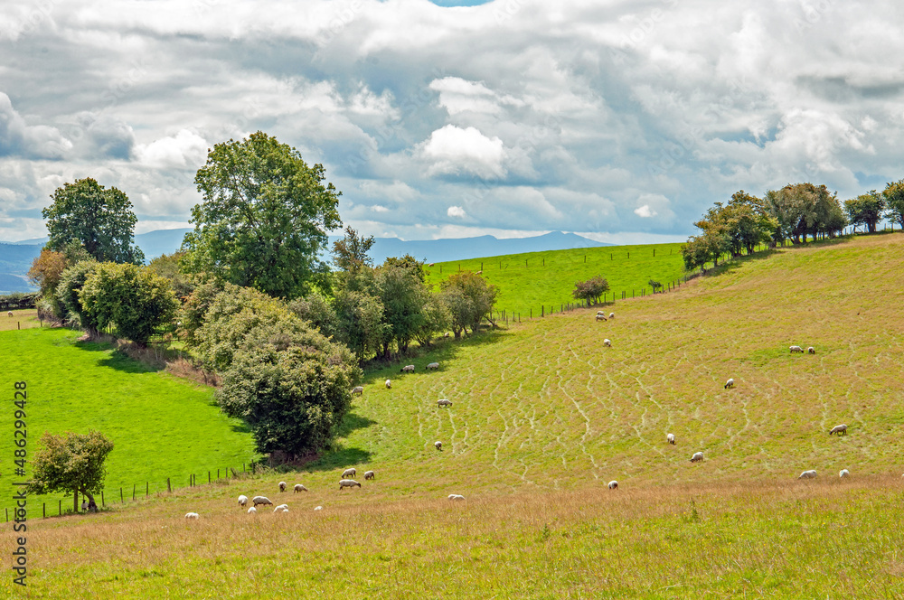 Fototapeta premium Scenery around the hills of Wales.