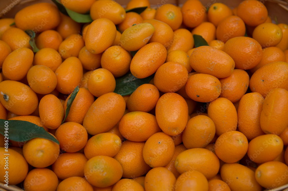 Vista superior del grupo de kumquats frescos en el mercado de comida orgánica. 