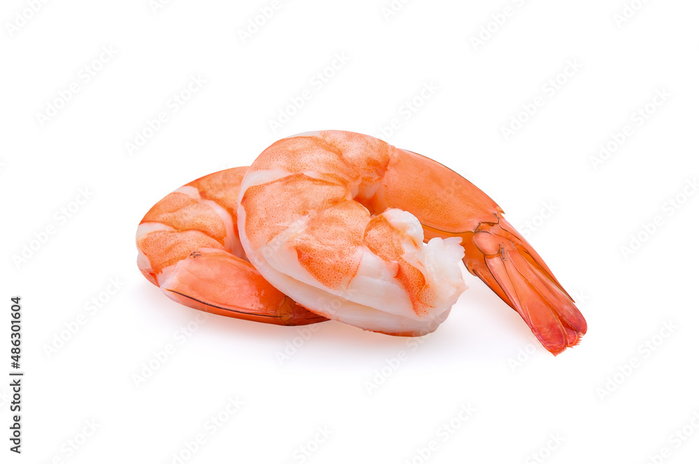 fresh shrimp prawn isolated on white background